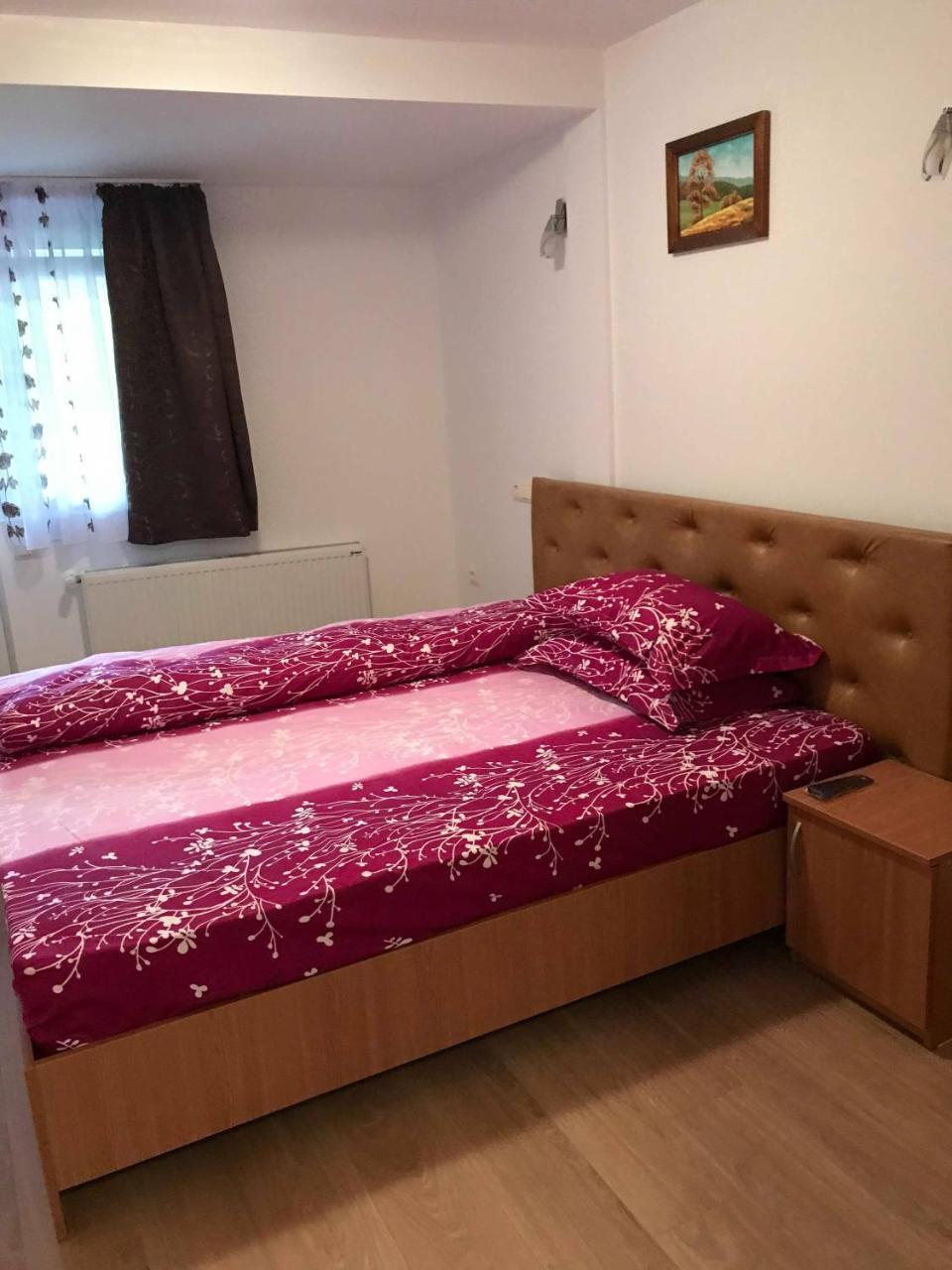 Pensiunea Colt De Rai Săcel Exterior foto
